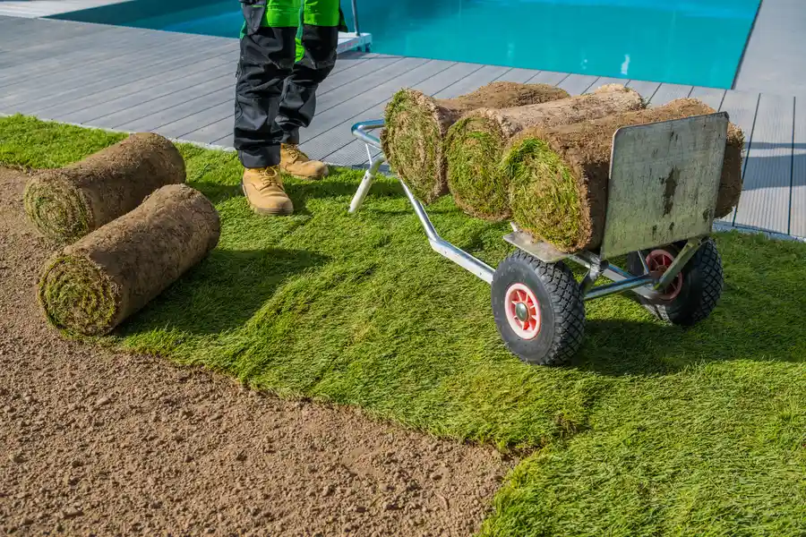 Benefits Of Sod Over Seed For Lawn Establishment Moreno Valley, CA